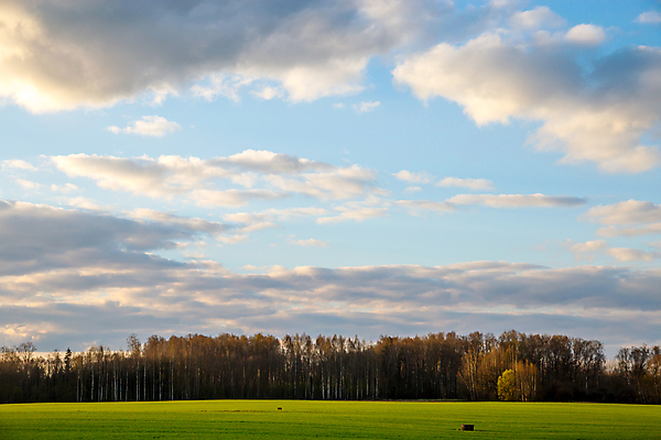 포토 JPG 해외이미지 나무 구름 계절 여행 백그라운드 밭 농업 자연 하늘 휴가 파노라마 옥수수 풍경 사람없음 야외 목재 초록색 여름 파란색 컬러풀 노란색 계곡 맑음 봄 시골 오픈 숲 낟알 땅 시리얼 라트비아 수평선 해외202004 해외포토 자연요소 식물 산업 음식 컬러 재료 날씨 곡류 촬영기법 북유럽 생태계 파일형식 이미지허브