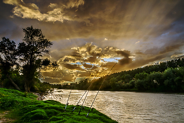 포토 JPG 해외이미지 나무 구름 계절 공원 호수 여행 잎 풍경 사람없음 야외 목재 초록색 여름 파란색 컬러풀 햇빛 태양 반사 노란색 평화 환경 맑음 침묵 황혼 봄 새벽 스페인 저녁 숲 장면 내추럴 생태학 수평선 해외202004 해외포토 자연요소 식물 공공시설 교육 유럽 컬러 컨셉 재료 날씨 소리 일몰 야간 파일형식 이미지허브