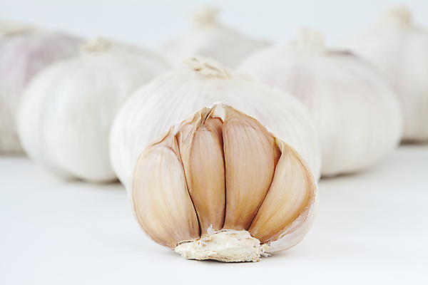 포토 JPG 해외이미지 식물 아시아 음식 채소 전구 부분 파슬리 건강 마늘 사람없음 초록색 식사 침묵 수확 흰색 신선 향신료 오브젝트 유기농 내추럴 고립 숙성 해외202004 해외포토 웰빙 나라 컬러 농업 소리 향미료 파일형식 이미지허브