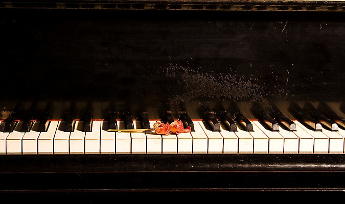 포토 JPG 해외이미지 식물 디자인 꽃 음악 분홍색 컨셉 열쇠 발렌타인데이 사랑 사람없음 목재 장식 가로 빨간색 장미 검은색 벚꽃 흰색 기구 키보드 개화 피아노 황금 묘사 열정 상아 뮤지컬 옛날 해외202004 해외포토 나무 감정 컬러 재료 데이이벤트 문화예술 건반악기 파일형식 이미지허브