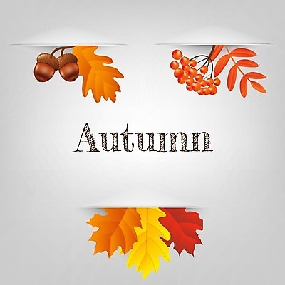 EPS 해외이미지 나무 식물 디자인 백그라운드 단풍 잎 2 과일 일러스트 공 자연 산 건조 3 씨앗 그래픽 장식 초록색 여름 갈색 노란색 세일 화환 힘 견과류 성장 가을 흰색 나뭇가지 오브젝트 내추럴 고립 엘리먼트 재 해외202004 해외일러스트 계절 꽃 컬러 생태계 파일형식 벡터 이미지허브