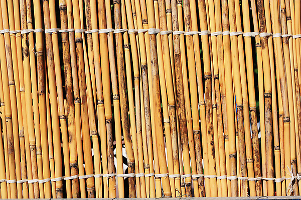 포토 JPG 해외이미지 식물 디자인 선 벽 줄기 백그라운드 패턴 자연 지팡이 날씨 추상 건조 동양인 사람없음 목재 울타리 갈색 환경 일본 줄무늬 바 원형 막대기 황금 선탠 대나무 질감 레이아웃 내추럴 그런지 이국적 특별함 흥미 해외202004 해외포토 도형 나무 아시아 컬러 컨셉 무늬 재료 인종 담장 생태계 파일형식 이미지허브