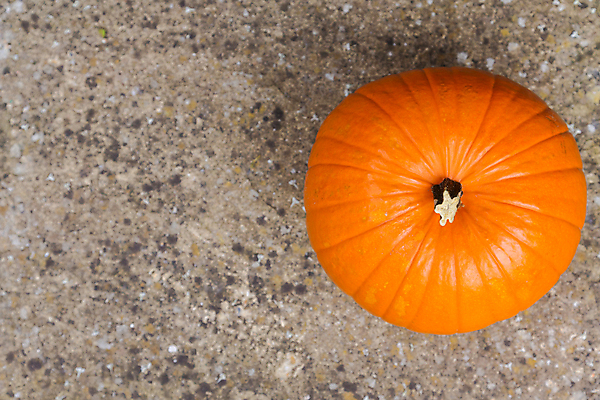 포토 JPG 해외이미지 계절 줄기 백그라운드 잎 농업 채소 오렌지 재료 벽지 호박 종류 3 사람없음 목재 초록색 파란색 컬러풀 노란색 우주 정원 여러개 공백 미니어처 할로윈 수확 가을 시골 신선 닫기 맛 작음 수집 에코 유기농 날것 도토리 모음 채식주의자 규칙적 해외202004 해외포토 나무 식물 웰빙 산업 컬러 다수 컨셉 과일 모션 모형 환경 견과류 크기 채식 파일형식 이미지허브