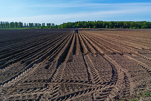 포토 JPG 해외이미지 구름 산업 도로 지구 모래 파도 포즈 백그라운드 밭 농업 교통시설 조류 하늘 날씨 풍경 사람없음 야외 파란색 갈색 우주 흙 봄 트래킹 장비 에너지 자유 흰색 나뭇가지 시골 그룹 분위기 숲 그늘 땅 방향 먼지 장면 트랙터 땅바닥 방법 밭일 벨로루시 생태학 선로 쟁기 수평선 해외202004 해외포토 자연요소 나무 동물 계절 교육 길 바다 컬러 교통 컨셉 레저 바닥 농기계 시설 특수차량 파일형식 이미지허브