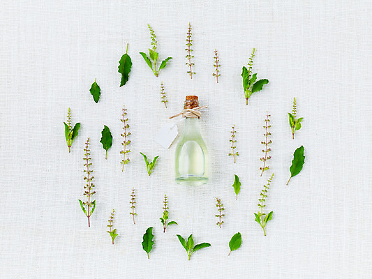 포토 JPG 해외이미지 사람없음 오일 허브 오브젝트 아로마 아로마테라피 바질 플랫레이 해외202004 해외포토 식물 음식 화장품 플랫 테라피 파일형식 이미지허브