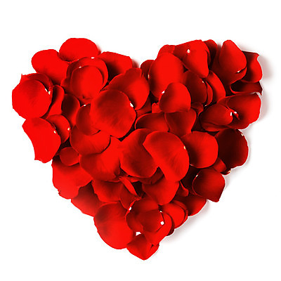 포토 JPG 해외이미지 모양 꽃잎 꽃 결혼 백그라운드 프레임 발렌타인데이 사랑 사람없음 빨간색 장미 흰색 하트 신용카드 심볼 사인 열정 고립 카피스페이스 해외202004 해외포토 식물 감정 컬러 데이이벤트 이벤트 금융 공백 파일형식 이미지허브