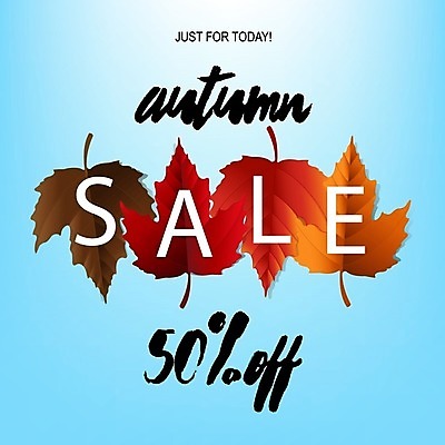 EPS 해외이미지 식물 디자인 배너 계절 포스터 백그라운드 단풍 잎 오렌지 일러스트 자연 프레임 장식 여름 컬러풀 갈색 유행 세일 환경 상점 웹 가을 흰색 투명 그룹 황금 콘센트 떨어짐 오브젝트 온라인 10월 내추럴 강렬 고립 해외202004 해외일러스트 컬러 컨셉 인터넷 과일 날짜 생태계 파일형식 벡터 이미지허브