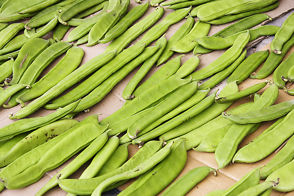 포토 JPG 해외이미지 산업 음식 다이어트 채소 재료 자연 콩 건강 사람없음 중국 칼 큼 유기농 날것 성분 잭 꼬투리 해외202004 해외포토 웰빙 아시아 곡류 크기 생태계 파일형식 이미지허브