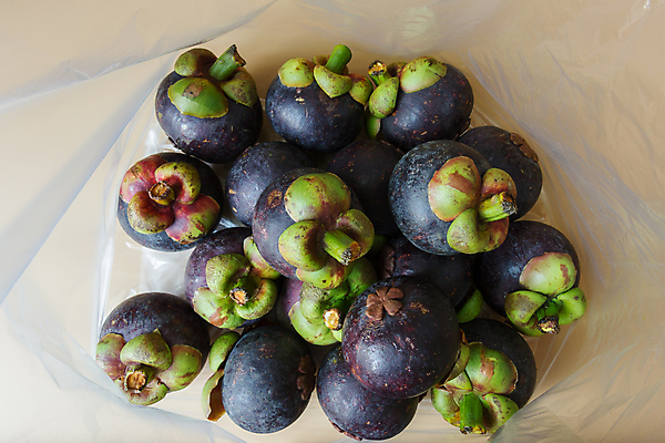 포토 JPG 해외이미지 아시아 음식 다이어트 가방 과일 자연 탁자 건강 동양인 사람없음 목재 초록색 쌓기 보라색 신선 달콤 맛 플라스틱 상쾌 유기농 날것 흙더미 내추럴 해외202004 해외포토 나무 웰빙 잡화 감정 나라 컬러 가구 컨셉 재료 모션 재질 인종 흙 생태계 파일형식 더미 이미지허브