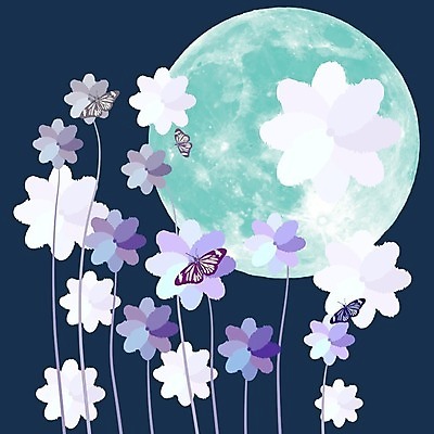 EPS 해외이미지 디자인 꽃 나비 곤충 백그라운드 꽃무늬 날개 일러스트 자연 미술 그래픽 장식 파란색 어둠 보름달 흰색 신용카드 우아함 해외202004 해외일러스트 식물 동물 컬러 컨셉 무늬 문화예술 금융 달 생태계 파일형식 벡터 자연요소 경제 이미지허브