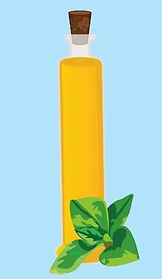 EPS 해외이미지 식물 문화 음식 잎 일러스트 재료 휴식 건강 치료 세트 약 스파 화장품 나뭇가지 마사지 약국 민트 허브 향수 향신료 피부관리 유기농 향기 아로마 향 성분 아로마테라피 테라피 내추럴 보충 에센스 해외202004 스피아민트 해외일러스트 나무 웰빙 컨셉 의학 뷰티 냄새 향미료 파일형식 벡터 이미지허브