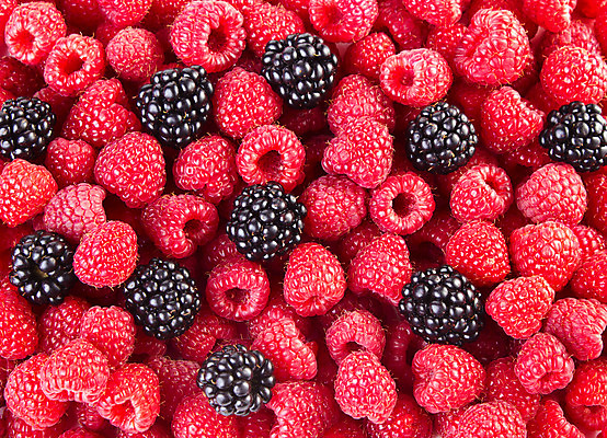 포토 JPG 해외이미지 열매 음식 백그라운드 다이어트 과일 디저트 건강 사람없음 빨간색 검은색 식사 신선 달콤 맛 숲 먹기 심플 아로마 산딸기 블랙베리 흙더미 내추럴 과육 구성 숙성 채식주의자 해외202004 해외포토 식물 컬러 컨셉 모션 흙 채식 파일형식 더미 이미지허브