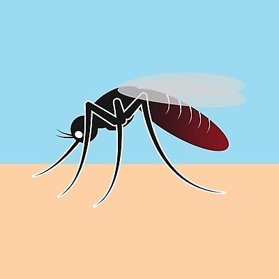 EPS 해외이미지 실루엣 곤충 백그라운드 일러스트 자연 경고 빨간색 검은색 흰색 바이러스 해충 질병 만화 심볼 찌르기 토막 고립 모기 제어 해외202004 해외일러스트 동물 컬러 의학 모션 촬영기법 벌레 생태계 파일형식 벡터 이미지허브