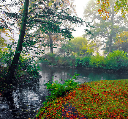 포토 JPG 해외이미지 호수 섬 자연 파노라마 사람없음 물 강 환경 젖음 안개 가을 저수지 연못 황무지 숲 홍수 생태계 뿌연 해외202004 해외포토 자연요소 계절 날씨 촬영기법 자연재해 파일형식 이미지허브