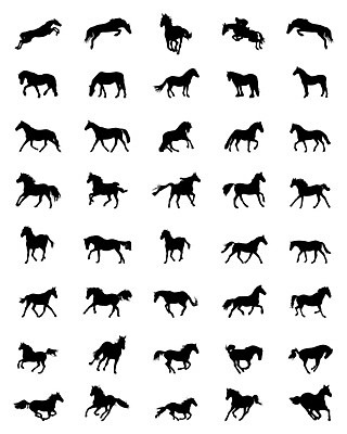 EPS 해외이미지 실루엣 야생동물 일러스트 포유류 자연 취미 반려동물 세트 달리기 농장 목장 우승 승차 속도 꼬리 조랑말 망아지 고립 굴레 라이더 무료 서쪽 승자 챔피언 디테일 해외202004 해외일러스트 동물 새끼 농업 모션 촬영기법 최고 말_동물 방향 생태계 파일형식 벡터 이미지허브
