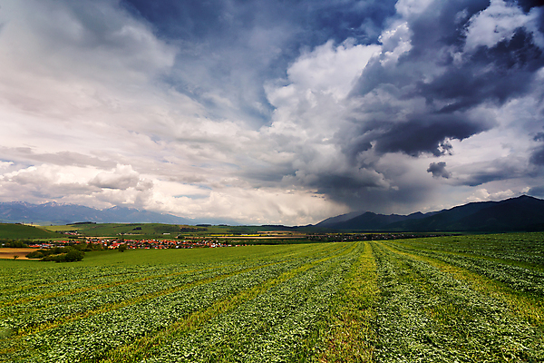 포토 JPG 해외이미지 나무 식물 구름 유럽 밭 농업 자연 하늘 바람 날씨 산 풍경 사람없음 초록색 여름 빛 햇빛 농장 마을 환경 맑음 봄 젖음 시골 숲 4월 5월 언덕 장면 폭풍 타운 슬로바키아 해외202004 해외포토 자연요소 계절 나라 산업 컬러 태양 도시 날짜 생태계 파일형식 이미지허브