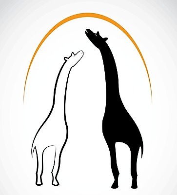 EPS 해외이미지 디자인 두마리 일러스트 사람없음 기린 해외202004 해외일러스트 2 포유류 파일형식 벡터 이미지허브