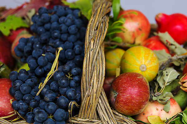 포토 JPG 해외이미지 계절 음식 백그라운드 잎 채소 과일 호박 포도 건강 사람없음 초록색 가을 신선 그룹 사과 유기농 내추럴 구성 해외202004 해외포토 식물 웰빙 컬러 파일형식 이미지허브