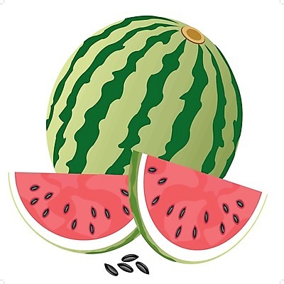 EPS 해외이미지 일러스트 단면 수박 사람없음 빨간색 초록색 그림 수박씨 해외202004 해외일러스트 컬러 과일 씨앗 파일형식 벡터 이미지허브