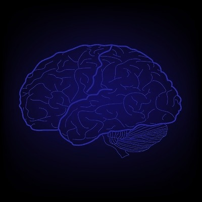 EPS 해외이미지 모델 디자인 교육 과학 백그라운드 컨셉 신체 일러스트 해부 추상 아이디어 건강 사람 그래픽 약 머리 검은색 흰색 마음 감각 오르간 불안 집중 심볼 뇌 생물학 시스템 고립 지능 해외202004 해외일러스트 감정 컬러 무늬 의학 신체부위 건반악기 파일형식 벡터 이미지허브