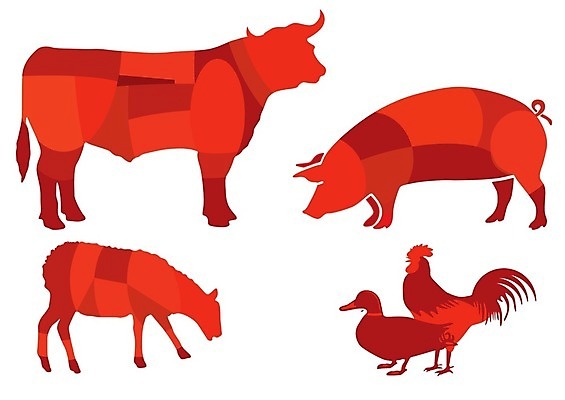 EPS 해외이미지 일러스트 육류 돼지고기 스테이크 요리 비프스테이크 식당 요리사 치킨 소고기 소 맛 그릴 바비큐 굽기 먹기 심볼 사인 메뉴 양고기 입가심 정육점 해외202004 해외일러스트 직업 음식 컨셉 식재료 포유류 모션 주방용품 서양음식 상점 구이 닭고기요리 파일형식 벡터 이미지허브