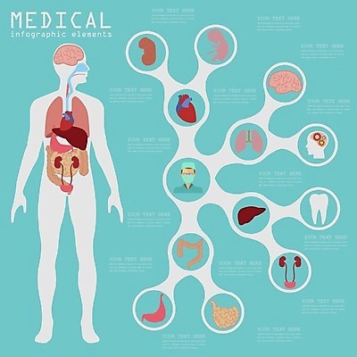 EPS 해외이미지 템플릿 디자인 과학 컨셉 신체 일러스트 해부 그래프 골격 건강 병원 주사기 사람 내부 그래픽 세트 알약 약 자료 인포그래픽 의사 정보 하트 오르간 신장 치아 DNA 구급차 심볼 사인 뇌 생물학 간 시스템 돌봄 엘리먼트 해외202004 해외일러스트 모양 교육 의학 의료기기 모션 자동차 의료진 소화기관 건반악기 비뇨기관 장기 생명공학 파일형식 벡터 직업 악기 육상교통 건반 음악 교통수단 교통 문화예술 이미지허브