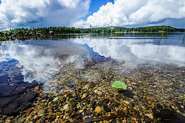 포토 JPG 해외이미지 나무 구름 호수 잎 산 스웨덴 사람없음 물 여름 반사 숲 자작나무 해외202004 해외포토 자연요소 식물 계절 북유럽 파일형식 이미지허브