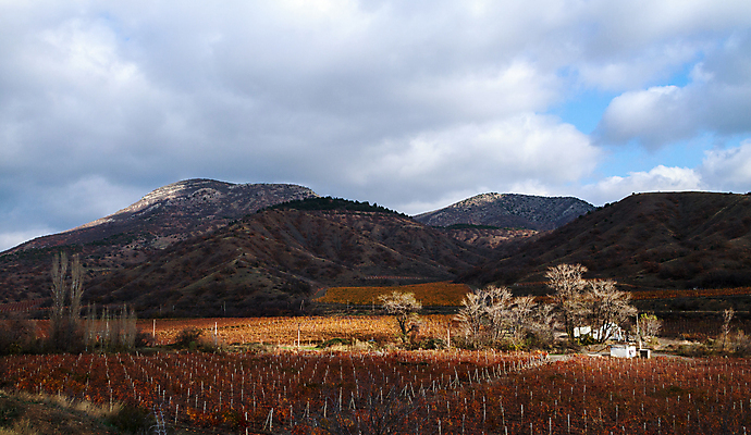포토 JPG 해외이미지 식물 계절 산업 여행 잎 밭 농업 오렌지 자연 하늘 포도 바람 휴가 산 파노라마 풍경 사람없음 야외 초록색 태양 농장 노란색 와인 계곡 수확 성장 시골 언덕 포도밭 내추럴 양조 줄서기 수평선 해외202004 해외포토 자연요소 컬러 과일 모션 날씨 주류 촬영기법 생태계 파일형식 이미지허브