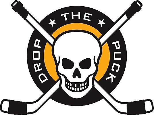 EPS 해외이미지 디자인 별 스포츠 겨울 일러스트 그래픽 얼음 스케이트 게임 떨어짐 배지 하키 점수 마스코트 엘리먼트 퍽 해골모형 해외202004 해외일러스트 자연요소 계절 스포츠용품 컨셉 놀이 구기 모형 하키용품 파일형식 벡터 이미지허브