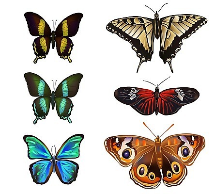 EPS 해외이미지 클립아트 디자인 나비 곤충 백그라운드 일러스트 자연 바람 미술 빨간색 초록색 파란색 빛 세트 컬러풀 노란색 검은색 봄 흰색 수집 내추럴 고립 현실 해외202004 해외일러스트 자연요소 동물 계절 컬러 날씨 문화예술 생태계 파일형식 벡터 이미지허브