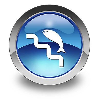 포토 JPG 해외이미지 아이콘 호수 야생동물 바다 이동 스티커 일러스트 버튼 어류 안전 사람없음 물 강 픽토그램 개울 심볼 사인 서명 해외202004 해외포토 자연요소 동물 컨셉 수중동물 파일형식 이미지허브