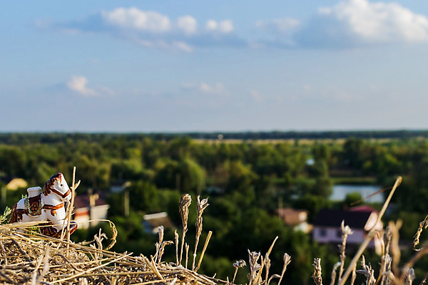 포토 JPG 해외이미지 구름 응시 남자 행복 스포츠 여행 포즈 컨셉 생각 하늘 성공 산 거리 아이디어 아이슬란드 서기 사람 풍경 사람없음 야외 파란색 햇빛 여행객 평화 걷기 맑음 침묵 트래킹 하이킹 자유 고독 대표 검색 염원 하이커 수평선 해외202004 해외포토 자연요소 시선 감정 유럽 컬러 모션 레저 날씨 태양 소리 파일형식 이미지허브