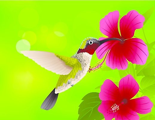 EPS 해외이미지 식물 여자 꽃 야생동물 백그라운드 일러스트 자연 조류 미술 취미 야외 빨간색 초록색 정원 벚꽃 흰색 관찰 작음 꿀 동물상 루비 벌새 수유 취급주의 히비스커스 해외202004 해외일러스트 동물 컬러 모션 문화예술 경고 사람 조형물 크기 보석 생태계 파일형식 벡터 이미지허브