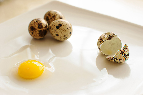 포토 JPG 해외이미지 전통 음식 다이어트 재료 건강 요리 사람없음 목재 갈색 바구니 계란 회색 튀김 시골 신선 사발 볏짚 아침식사 상품 가득함 유기농 날것 발레복 노른자 밀짚 흙더미 제비 베일 오믈렛 내추럴 깨짐 메추리 식용 식품점 채식주의자 해외202004 해외포토 나무 웰빙 옷 컬러 컨셉 조류 상점 알 식사 흙 사기그릇 짚 계란요리 발레 채식 파일형식 더미 이미지허브