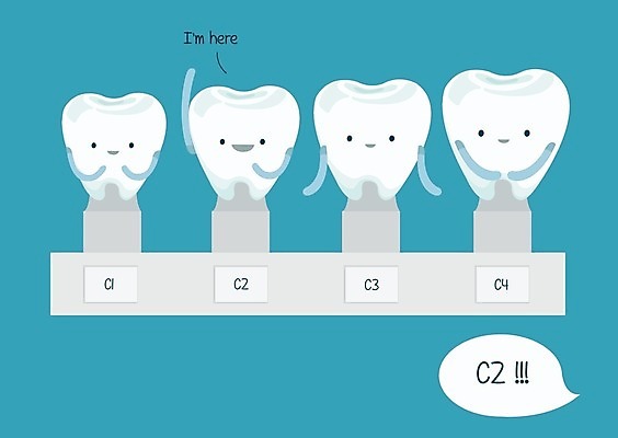 EPS 해외이미지 직업 손 여자 얼굴 선 장갑 컨셉 일러스트 아이디어 기술 병원 사람 성인 치료 약 장비 환자 흰색 공구 잡기 입 비교 변화 선택 치아 입술 치과의사 코 거짓말 돌봄 미백 위생관리 해외202004 해외일러스트 잡화 컬러 의학 모션 관리 신체부위 의사 도구 소화기관 파일형식 벡터 이미지허브