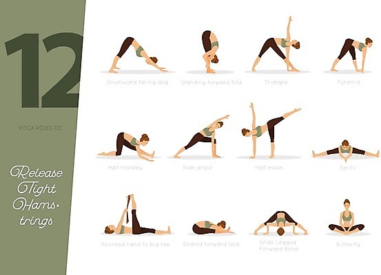 EPS 해외이미지 백인 라이프스타일 여자 실루엣 스포츠 포즈 신체 일러스트 요가 자연 근육 건강 사람 앉기 세트 운동 숫자 플랫 유연 연습 명상 체육관 무릎 다리찢기 타이즈 해외202004 해외일러스트 서양인 문자 웰빙 모션 촬영기법 생활 신체부위 생태계 파일형식 벡터 이미지허브