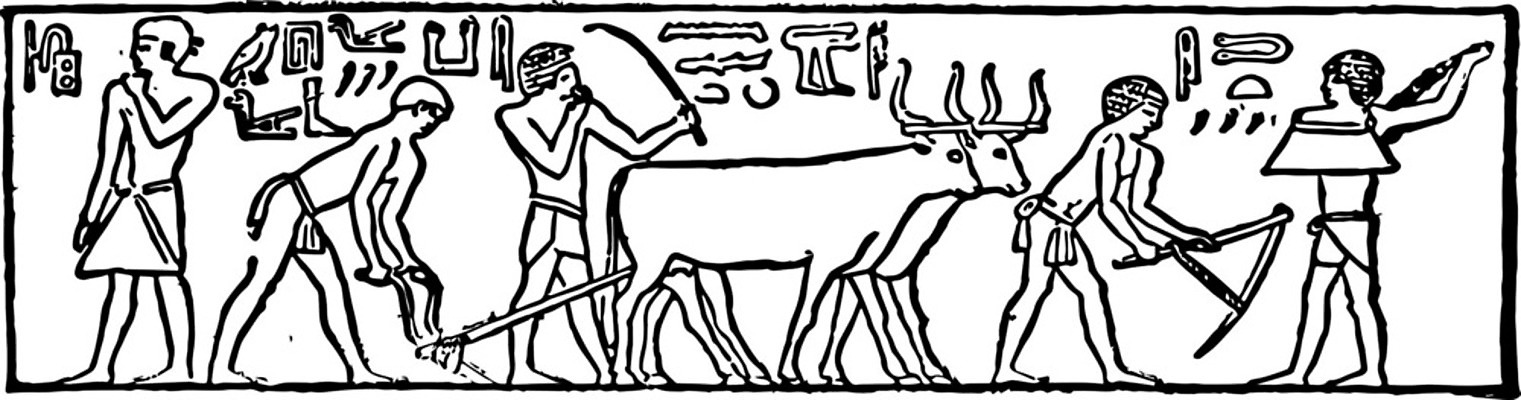 EPS 해외이미지 선 일러스트 이집트 미술 검은색 수확 흰색 속도 그림 판화 격파 파종 해외202004 해외일러스트 컬러 농업 모션 아프리카 문화예술 농사 파일형식 벡터 이미지허브