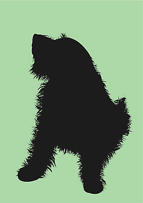 EPS 해외이미지 모양 동물 실루엣 백그라운드 일러스트 털 미술 앉기 초록색 반려동물 머리 검은색 개 작음 예측 테리어 그림 꼬리 조심 신앙심 해외202004 해외일러스트 컬러 컨셉 포유류 모션 문화예술 촬영기법 신체부위 크기 파일형식 벡터 이미지허브