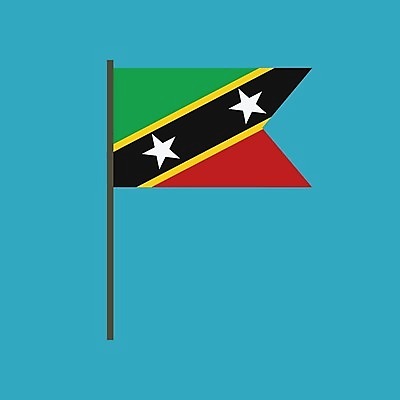 EPS 해외이미지 전통 디자인 배너 문화 물결 캠페인 여행 컨셉 일러스트 휴가 미술 경사 이벤트 그래픽 장식 축제 웹 자유 축하 깃발 막대기 플랫 만화 선거 심볼 사인 깃대 봉 애국심 대각선 교차 고립 독립 엘리먼트 전국 해외202004 해외일러스트 선 인터넷 문화예술 민주주의 파일형식 벡터 이미지허브