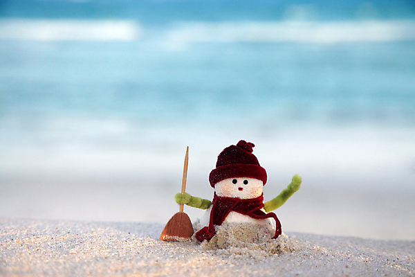 포토 JPG 해외이미지 나무 계절 행복 크리스마스 겨울 자연 눈사람 하늘 아침 사람없음 파란색 장난감 얼음 추위 흰색 눈덩이 해외202004 해외포토 주간 자연요소 식물 기념일 감정 컬러 눈_날씨 생태계 파일형식 이미지허브