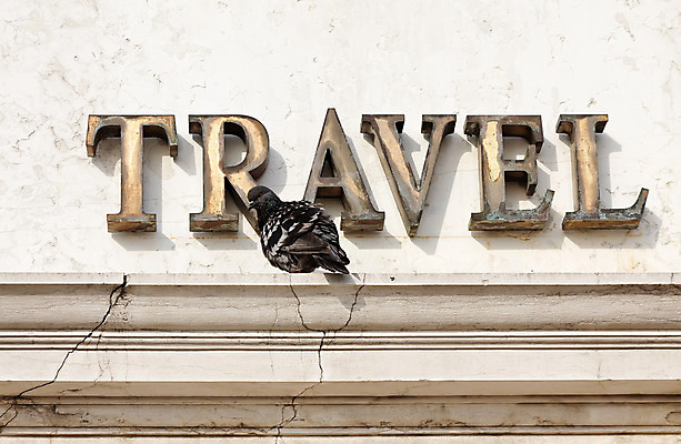 포토 JPG 해외이미지 벽 여행 백그라운드 비즈니스 조류 사람없음 건물 단어 쪽지 정보 정상 편지 방향 깃털 비둘기 우표 직진 해외202004 해외포토 동물 문자 건축물 파일형식 이미지허브