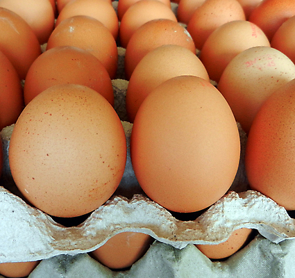 포토 JPG 해외이미지 동물 음식 백그라운드 재료 포장 자연 건강 요리 사람없음 상자 농장 갈색 노란색 계란 식사 치킨 신선 원형 그룹 아침식사 보호 자르기 먹기 유기농 패키지 수납 고립 단백질 생식 취급주의 해외202004 해외포토 도형 웰빙 컬러 컨셉 농업 모션 경고 알 생태계 닭고기요리 영양소 파일형식 이미지허브