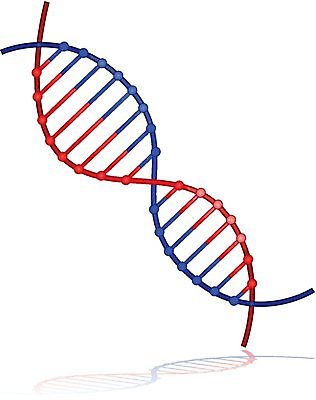 EPS 해외이미지 조각 과학 컨셉 신체 일러스트 추상 세포 건강 현미경 미술 사람 그래픽 약 질병 DNA 작음 분석 유기농 생물학 염색체 암 기본 단백질 더블 바이오 복제 신맛 유전 해외202004 해외일러스트 웰빙 교육 무늬 의학 문화예술 실험기구 맛 생명공학 크기 영양소 파일형식 벡터 이미지허브