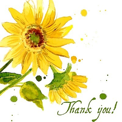 EPS 해외이미지 꽃잎 꽃 백그라운드 잎 꽃무늬 패턴 일러스트 해바라기 사람없음 컬러풀 노란색 원형 해외202004 해외일러스트 도형 식물 컬러 무늬 파일형식 벡터 이미지허브