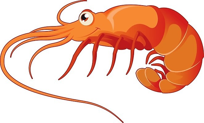 EPS 해외이미지 동물 캐릭터 디자인 행복 바다 분홍색 오렌지 일러스트 자연 조개 새우 갑각류 미술 빨간색 반려동물 컴퓨터 점프 수중 수영 유머 가재 바닷가재 심볼 해산물 콧수염 사인 그림 클립 고립 캐리커처 해외202004 해외일러스트 일러캐릭터 감정 컬러 과일 모션 문화예술 어패류 수염 전자제품 수상스포츠 생태계 파일형식 벡터 이미지허브