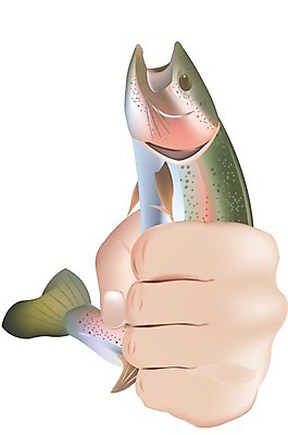 EPS 해외이미지 동물 야생동물 음식 스포츠 일러스트 낚시 어류 식사 신선 먹기 트로피 육식동물 연어 어장 민물 송어 해외202004 해외일러스트 모션 레저 수중동물 상 파일형식 벡터 상패 우승 최고 이미지허브