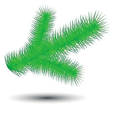 EPS 해외이미지 나무 디자인 계절 행복 컨셉 잎 겨울 일러스트 부분 자연 휴가 새로움 3 사랑 이벤트 장식 희망 공백 축하 인사 신선 시간 소나무 신용카드 계획 숲 12월 만화 연도 심볼 심플 상록수 침엽수 전나무 내추럴 강렬 엘리먼트 가문비나무 현실 해외202004 해외일러스트 식물 감정 금융 예절 날짜 생태계 파일형식 벡터 이미지허브