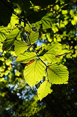 포토 JPG 해외이미지 사람없음 해외202004 해외포토 파일형식 이미지허브