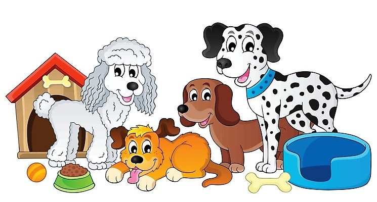 EPS 해외이미지 동물 디자인 응시 행복 일러스트 장난 공 포유류 뼈 미술 그래픽 반려동물 장비 그리기 사발 개 강아지 만화 닥스훈트 그림 푸들 장면 송곳니 달마시안 해외202004 해외일러스트 시선 감정 모션 문화예술 사기그릇 치아 파일형식 벡터 이미지허브