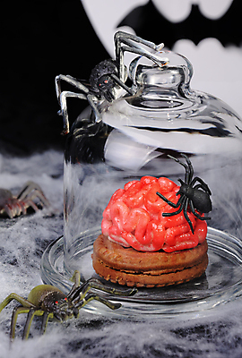 포토 JPG 해외이미지 회색배경 디저트 실내 사람없음 쿠키 할로윈 솜 뇌 거미 유리덮개 해외202004 해외포토 음식 곤충 백그라운드 내부 회색 덮개 파일형식 이미지허브